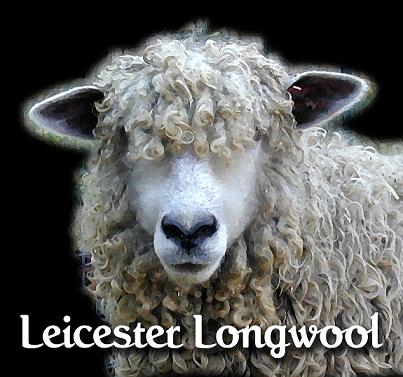 LeicesterLongwoolsm_Joanie_Livermore.jpg