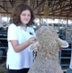 2015 Dutchess County Sheep and Wool Growers Wool Ambassador