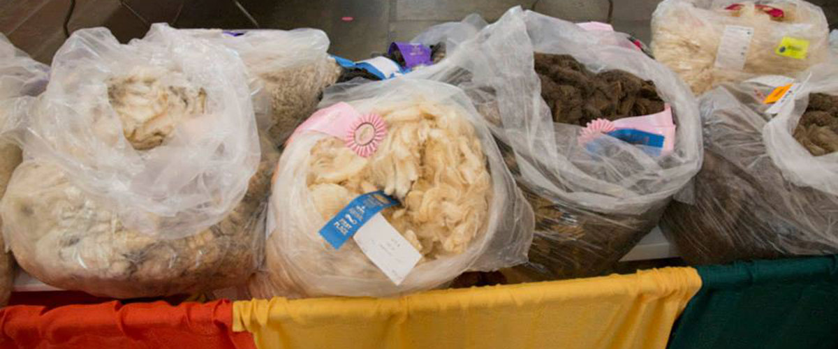 Fleece Sale 2