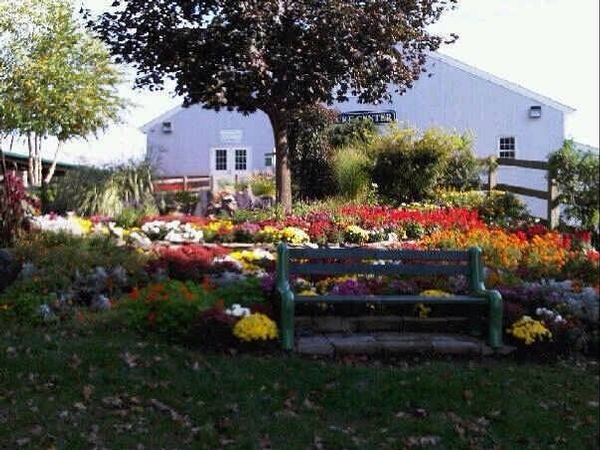 Grounds