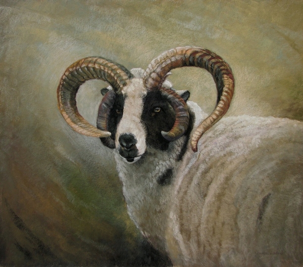 JacobsRam2013_JerilynWeber.jpg