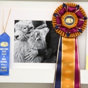 Photo Contest
