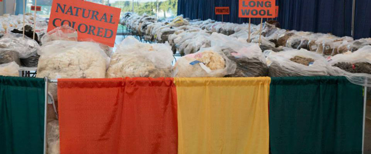 Fleece Sale 1