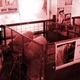 Sheep Breed Exhibit