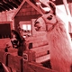 Camelid and Cashmere Fiber Animals