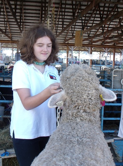 Cosette Veeder-Shave 2015 Wool Ambassador