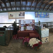 Livestock Displays