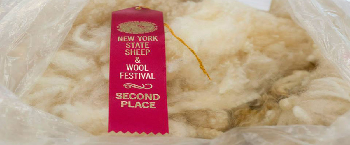 Fleece Sale 3
