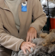 Fleece Show & Sale